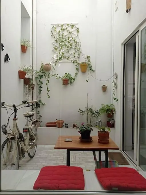 Town House With Rooftop Terrace Seville