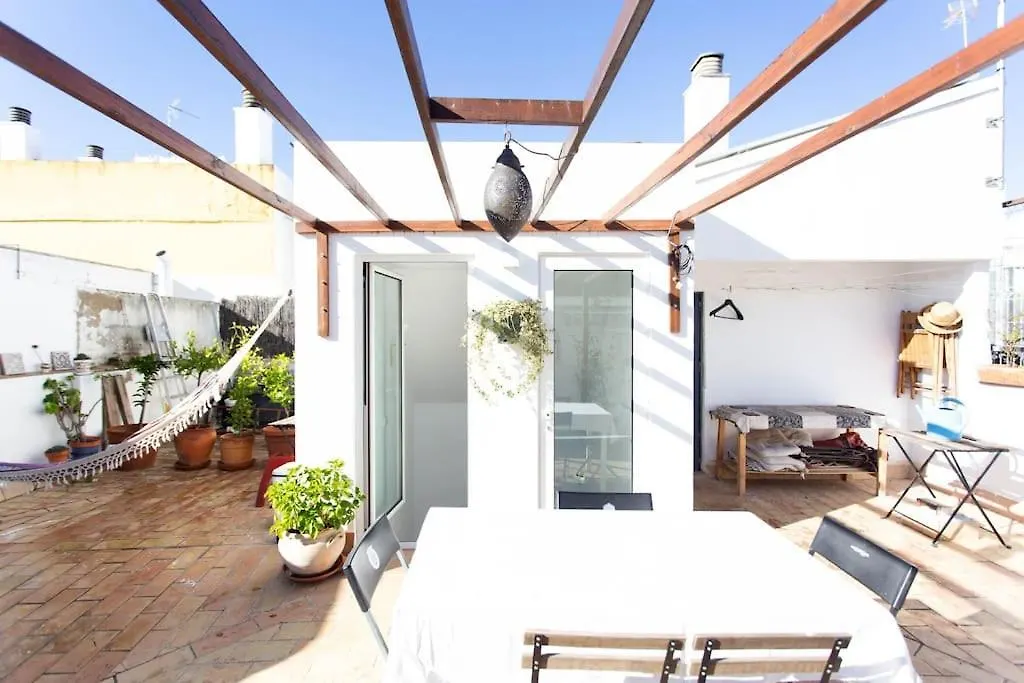 Town House With Rooftop Terrace Seville Spain