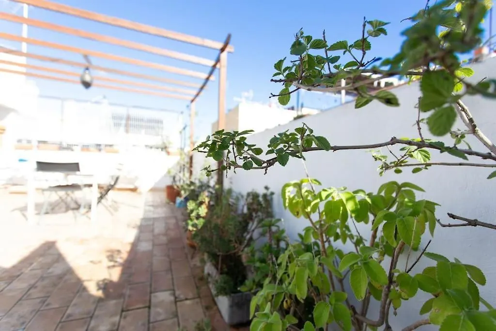 Town House With Rooftop Terrace Seville Holiday home