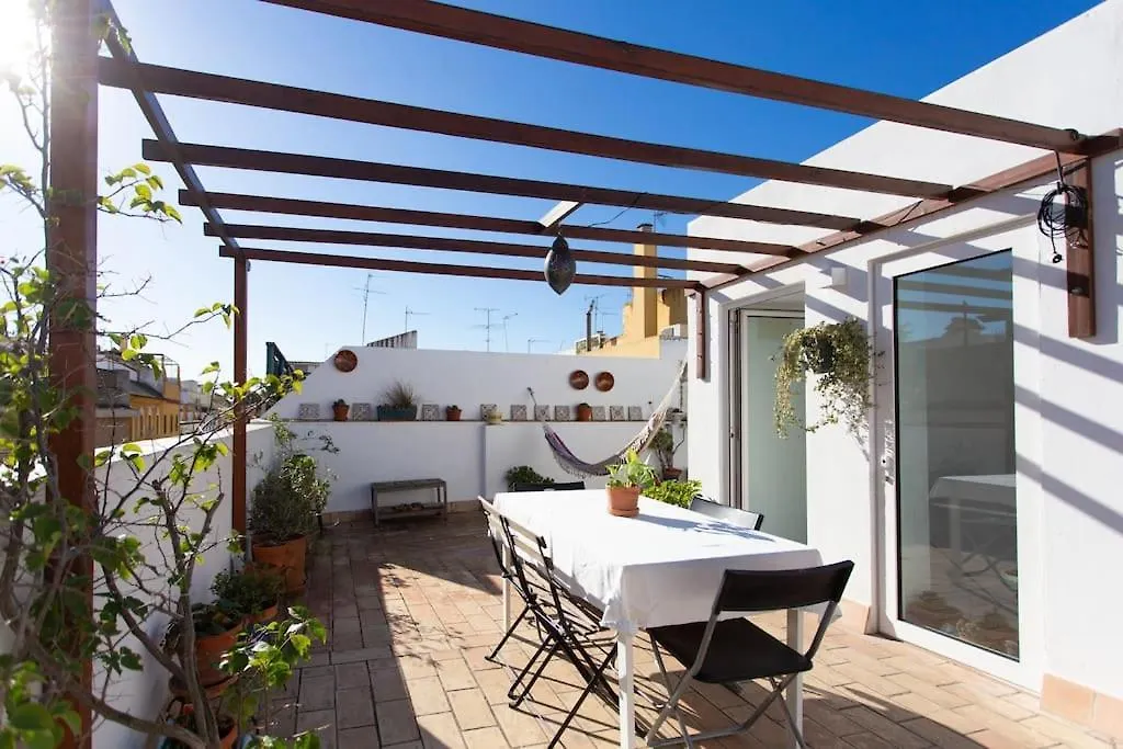 Town House With Rooftop Terrace Seville