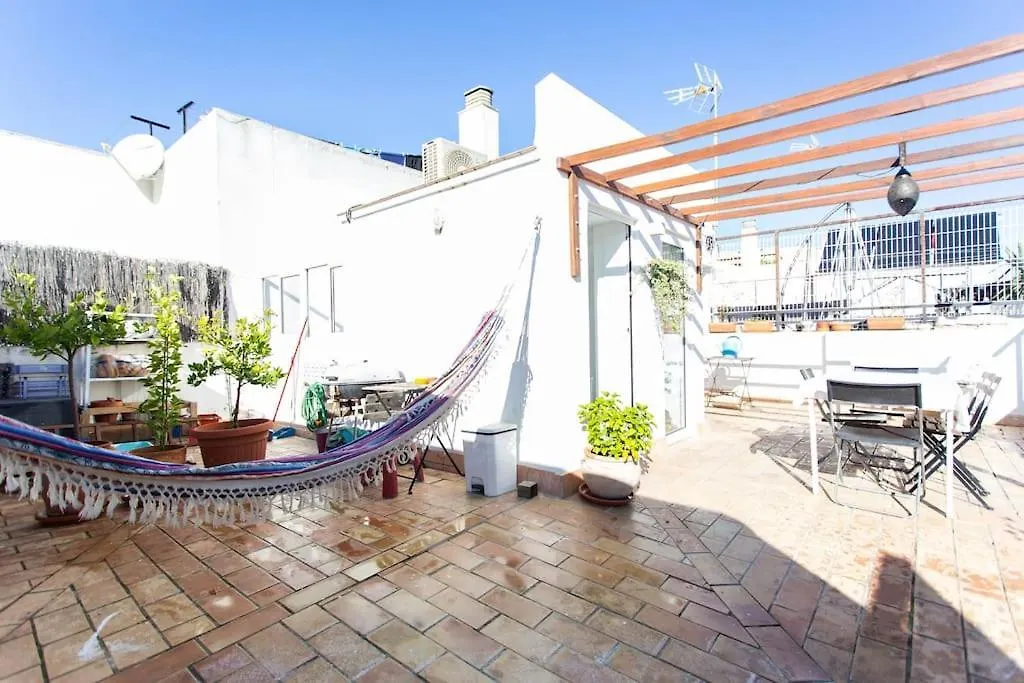 Town House With Rooftop Terrace Seville